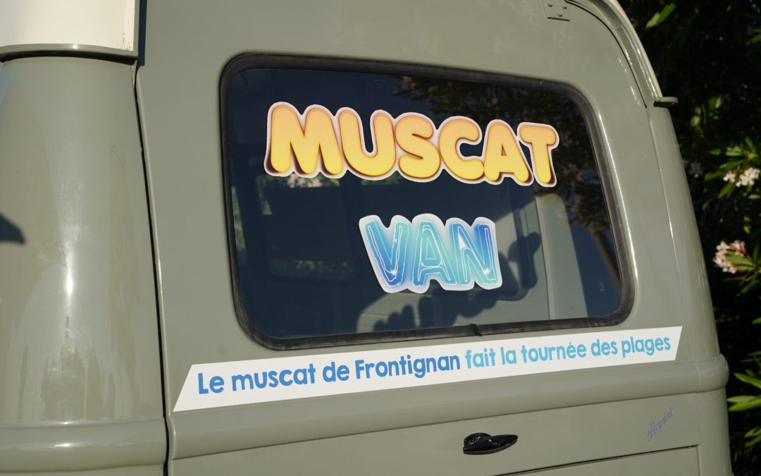DÉGUSTATION : MUSCAT VAN