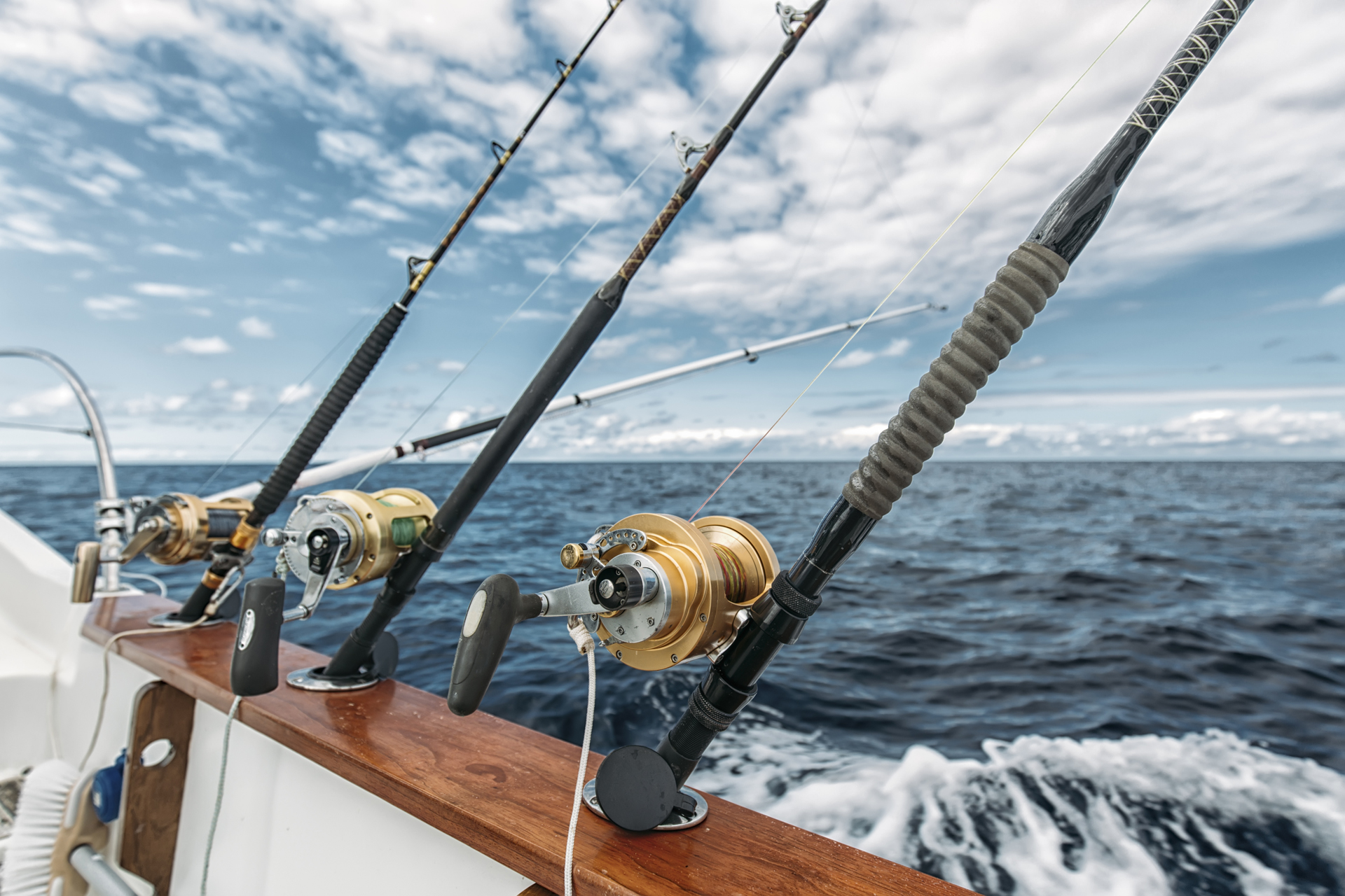 Fishing rods