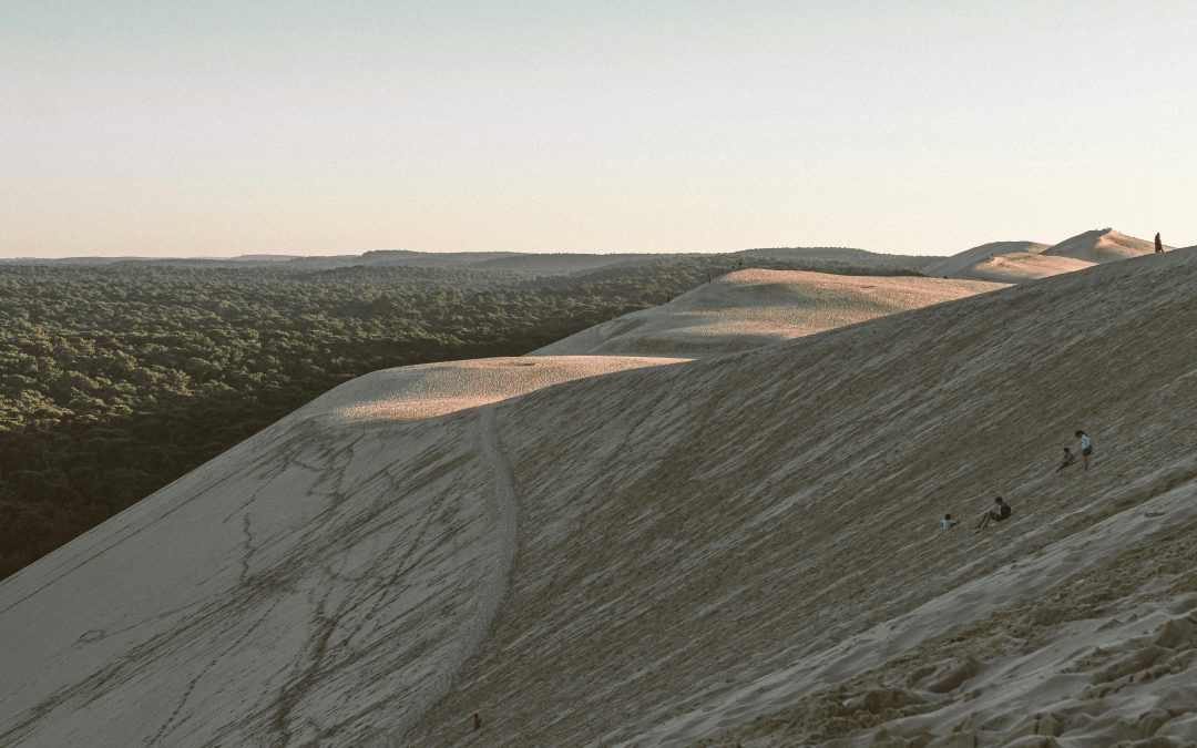 Explorez la dune avec l’ONF