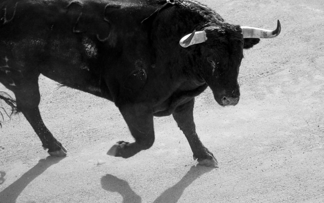 Fêtes votives de Roquevaire