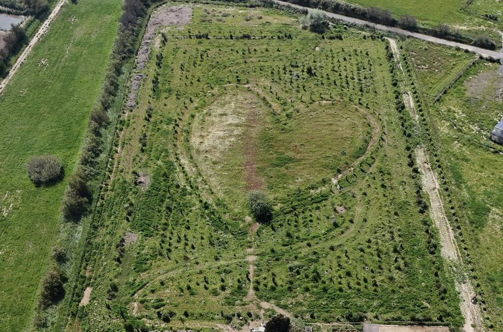 ATELIER ARTISTIQUE À COEUR DE VIE