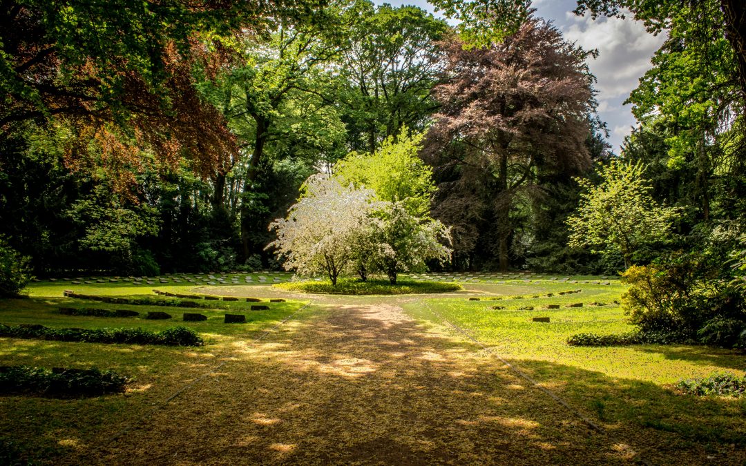 Jardins insolites – La Forge