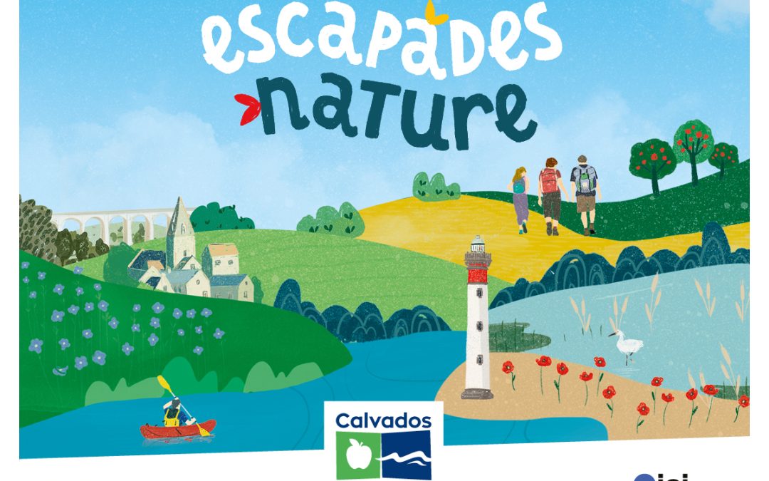 Du fossile à l’actuel au Cap Romain