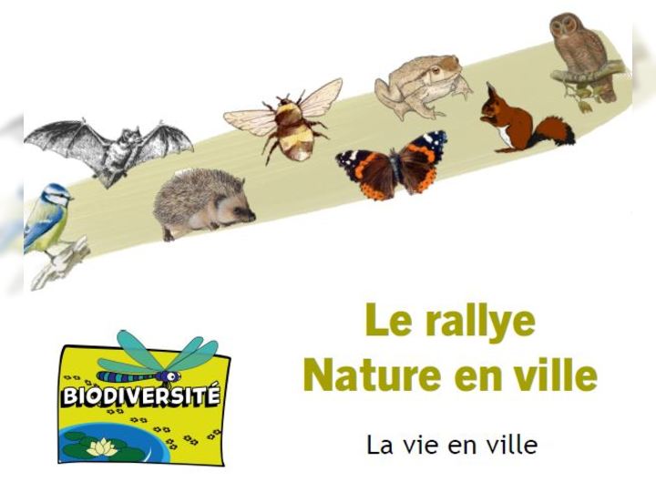 Rallye nature en ville