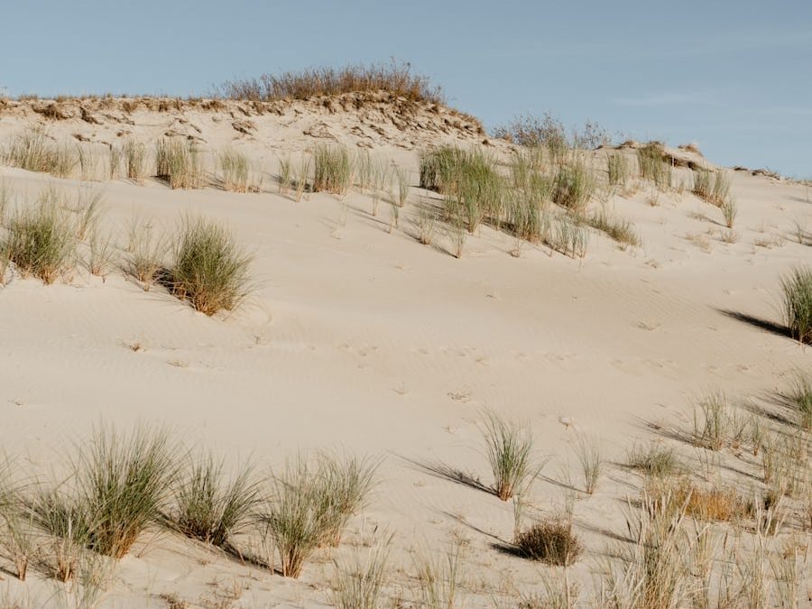 Sophro’balade le long des dunes