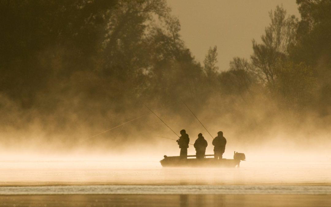 Stage de pêche