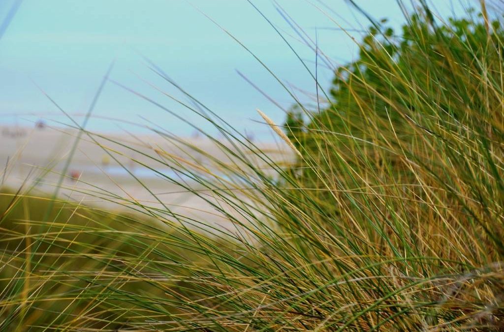 Les richesses de la Mine