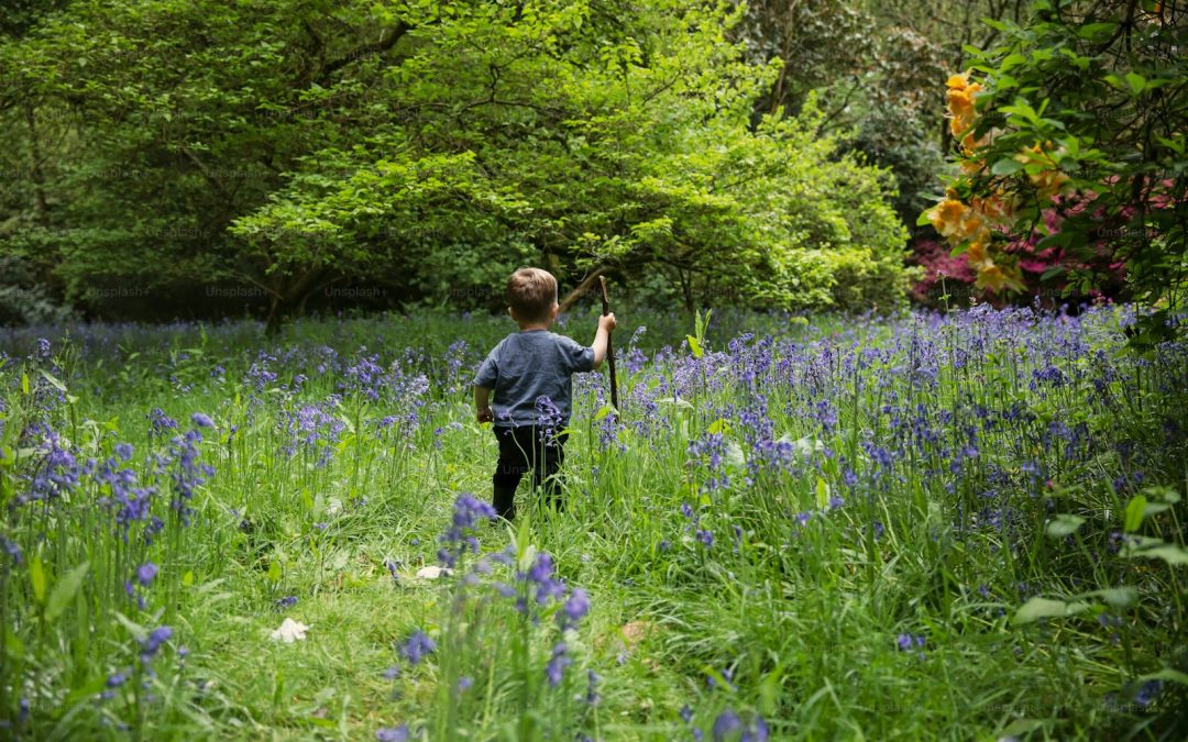 Atelier expérientiel au rythme des saisons