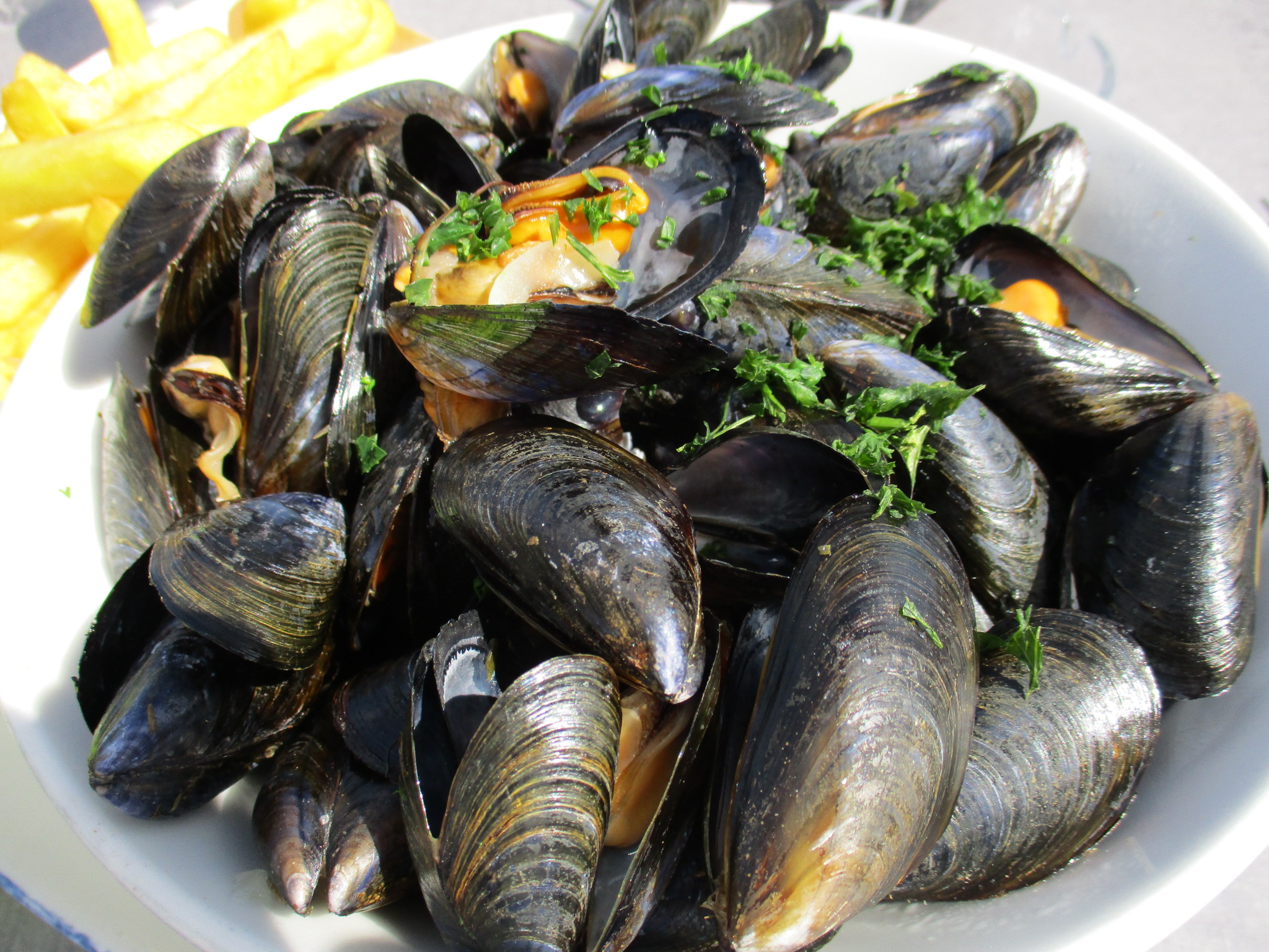 Moules_marinières_03