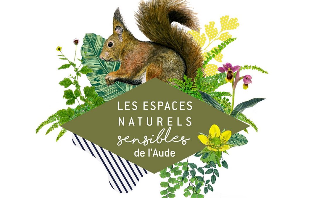 ENS – CHANGEMENT CLIMATIQUE, QUELS ARBRES POUR DEMAIN