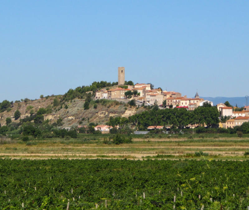 Un paysage pas comme les autres