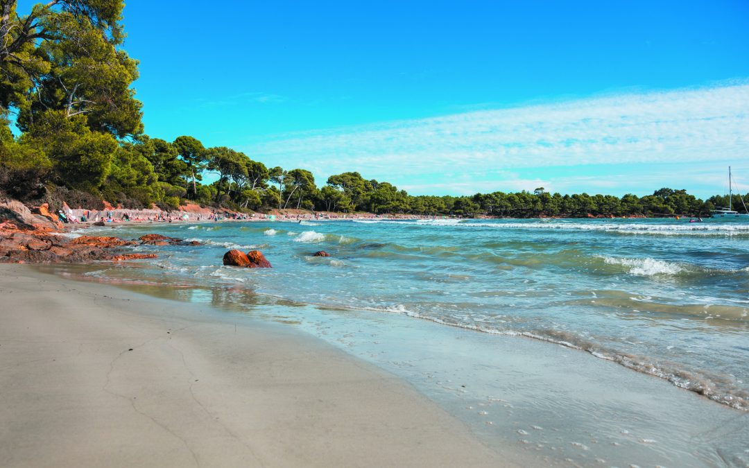 Un paradis pour petits pieds