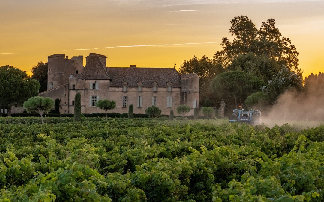 Escapade gourmande sur les routes des vins de La Domitienne
