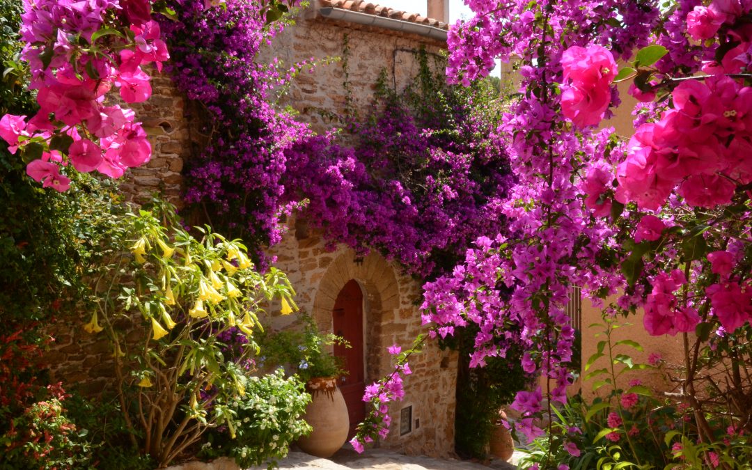 Une escapade aux milles couleurs
