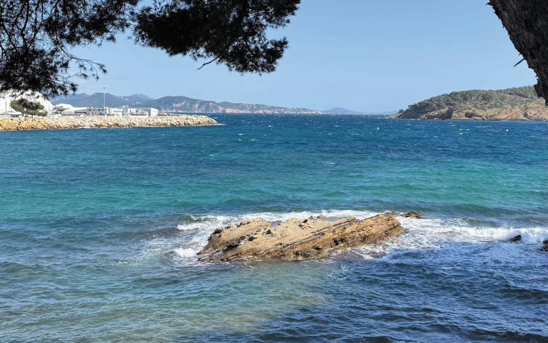 Au cœur des vagues et des roches