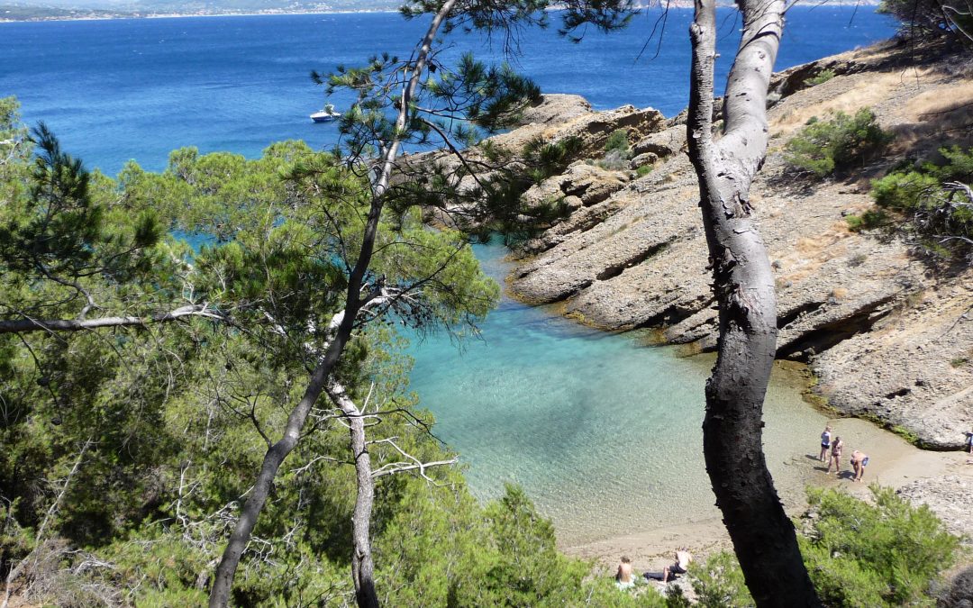 L’île Verte : entre silence, cigales et mémoire