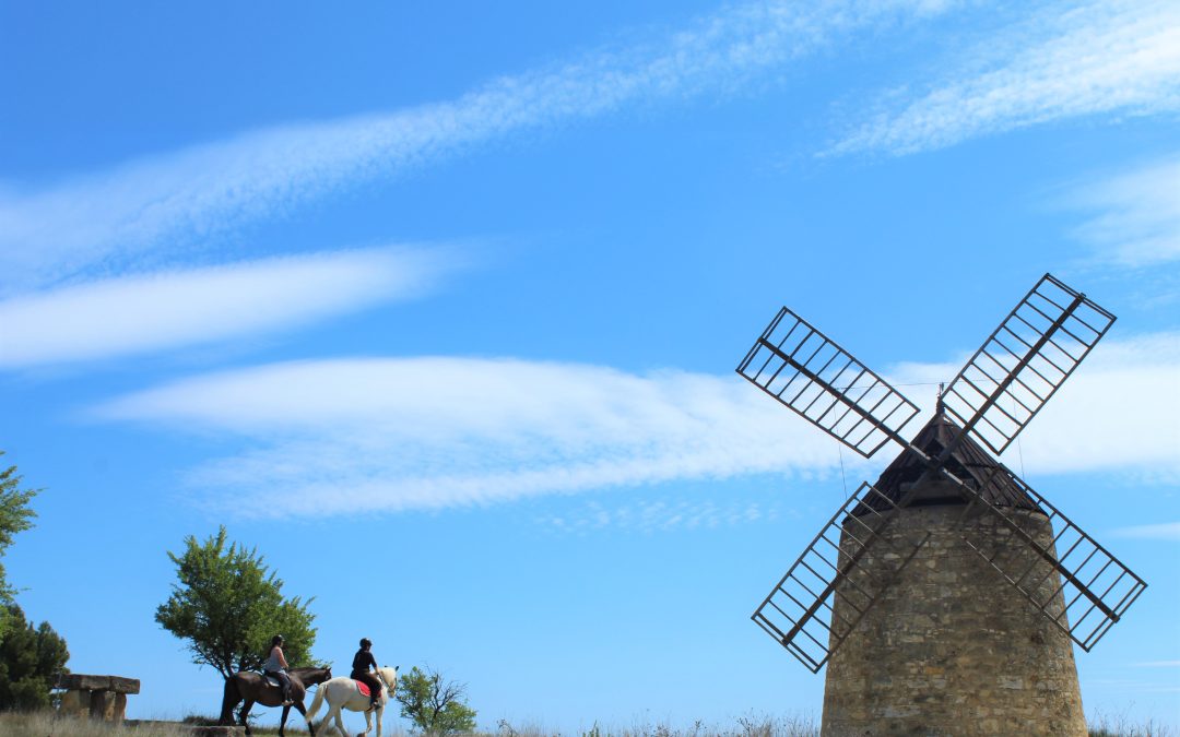 Balade nature sur les puechs d’Ensérune et vers l’étang de Vendres