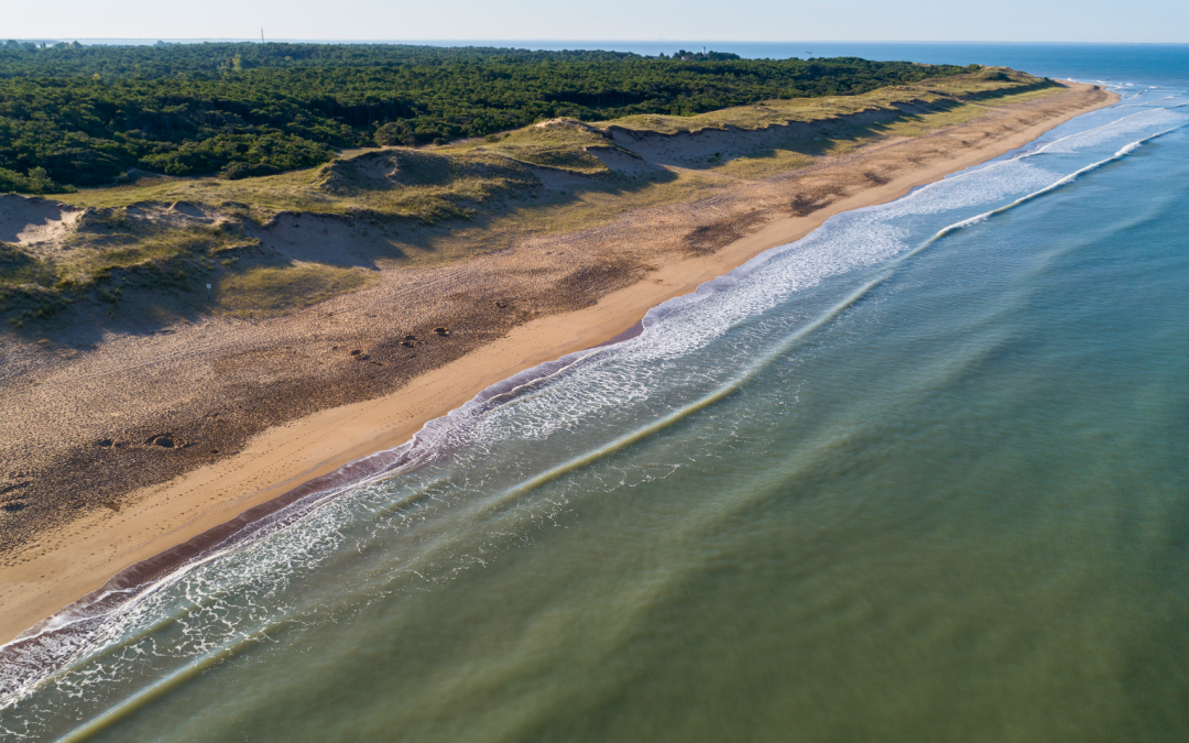 Parc des Floralies : nature et loisirs en famille
