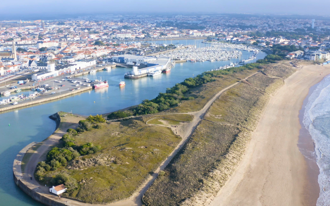Marais breton vendéen : nature, patrimoine et oiseaux d’eau