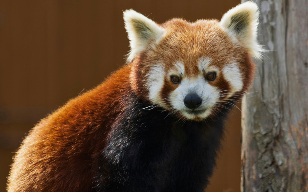 Les Terres de Nataé, une immersion au plus près du vivant