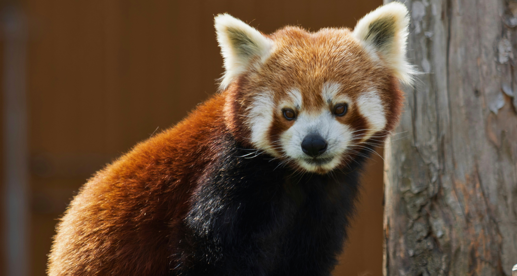 ilie-barna-MnaaInjchKk-unsplash