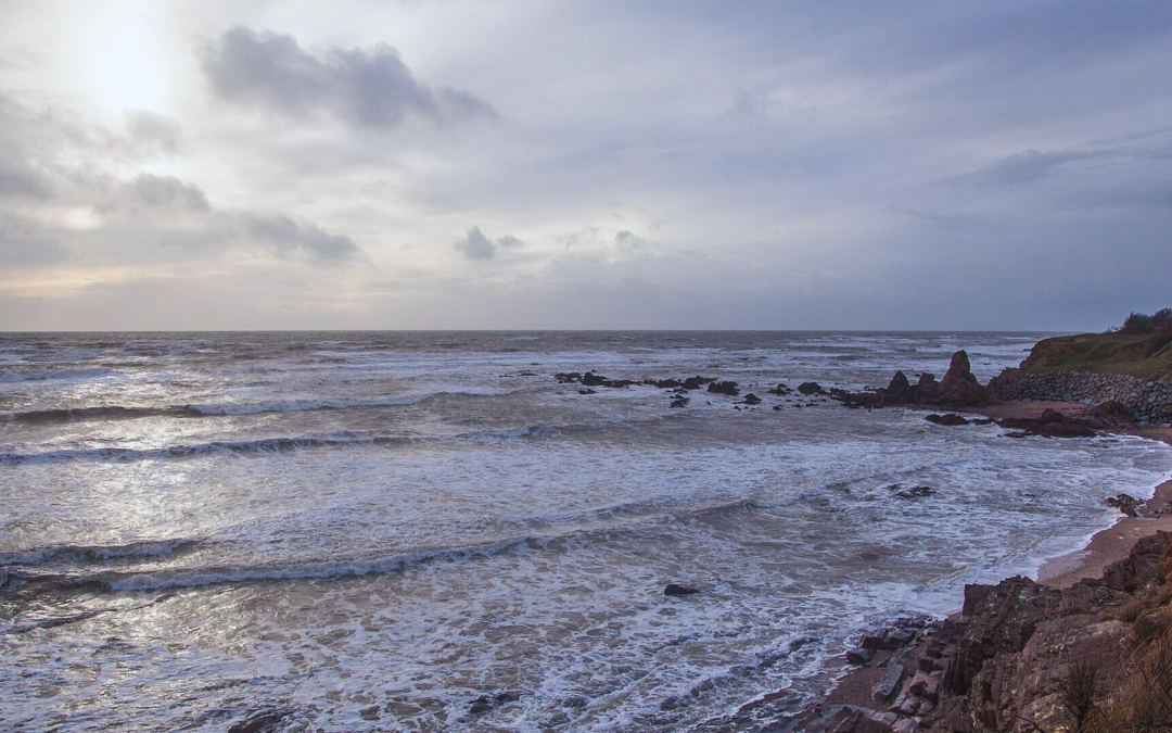 Surf à Brétignolles-sur-Mer : saison prolongée en Vendée