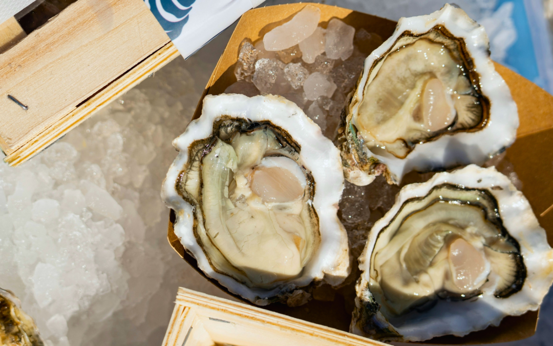 Huître plate du Bélon : un trésor de saveurs