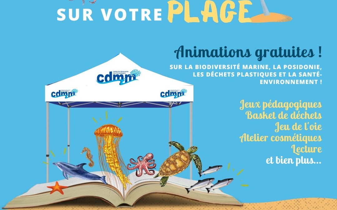 Bibliomer été 2026
