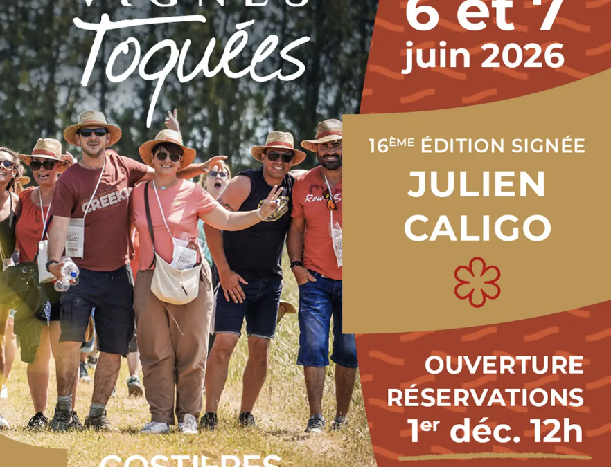 Vignes Toquées