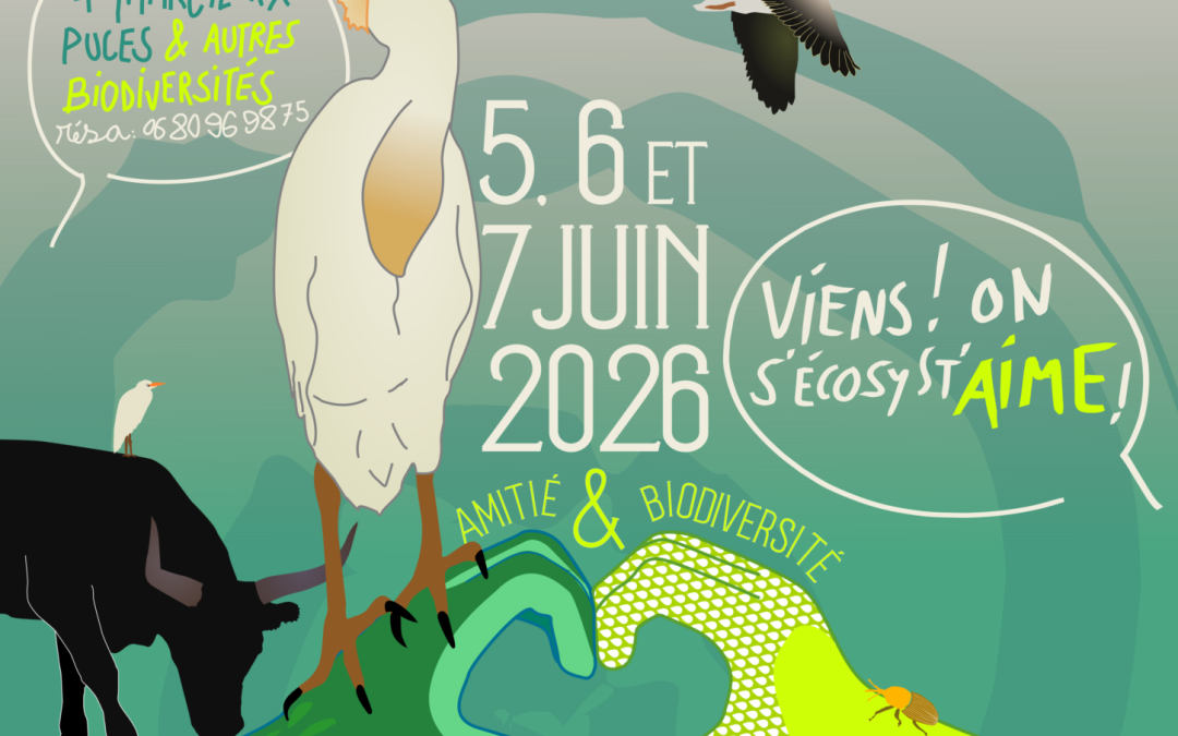 ACTE – Festival de la biodiversité en Camargue