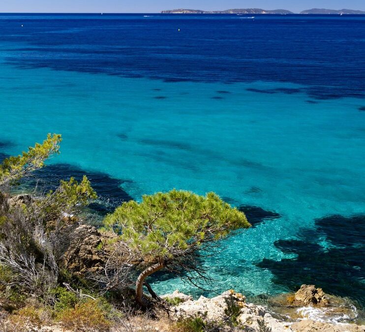 Journée de la mer : Méditerranée, un trésor à protéger