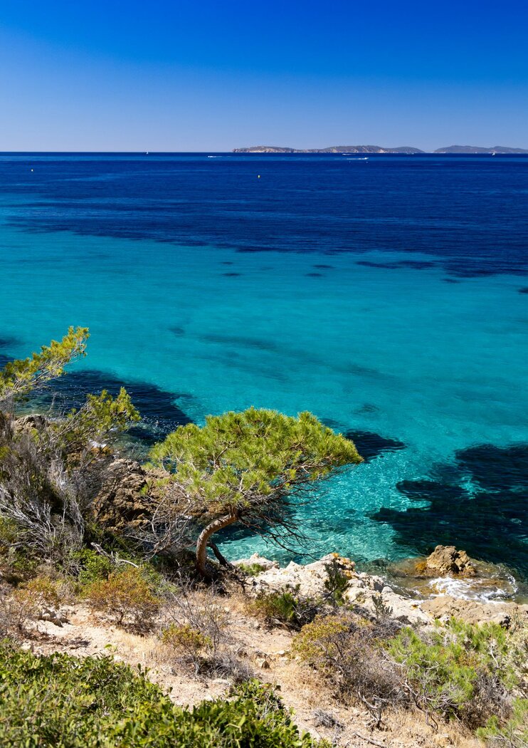 journee-de-la-mer-mediterranee-un-tresor-a-proteger_7344586_1