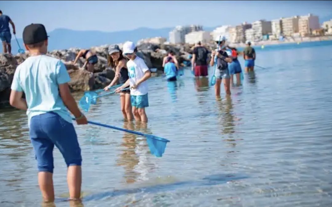 ATELIER PÊCHE A PIED