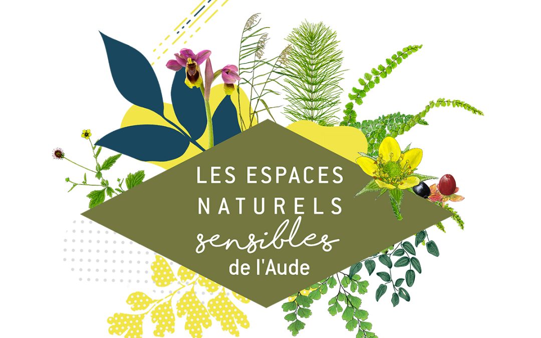Ens – Un Joyau Botanique Dans Les Dunes