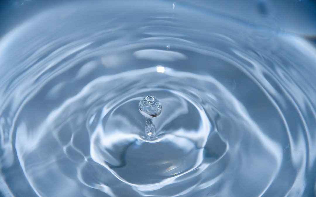 Fête de l&rsquo;eau