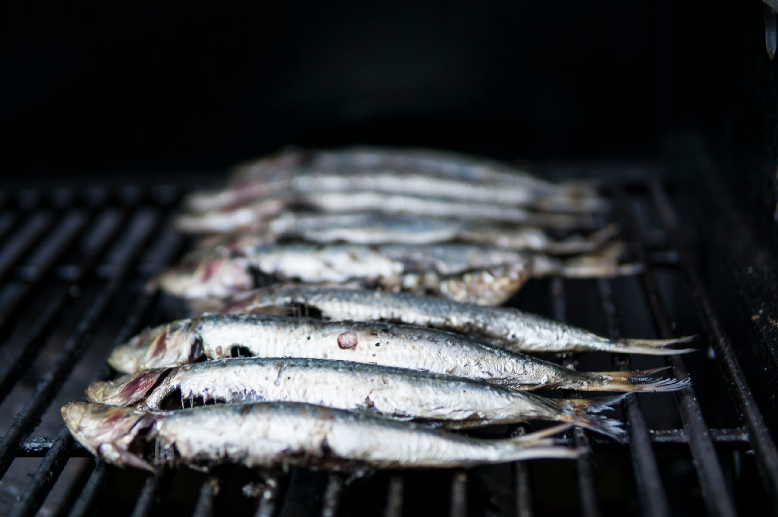 sardines