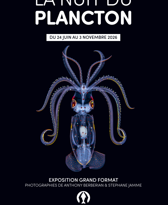La Nuit du plancton – Expo grand format