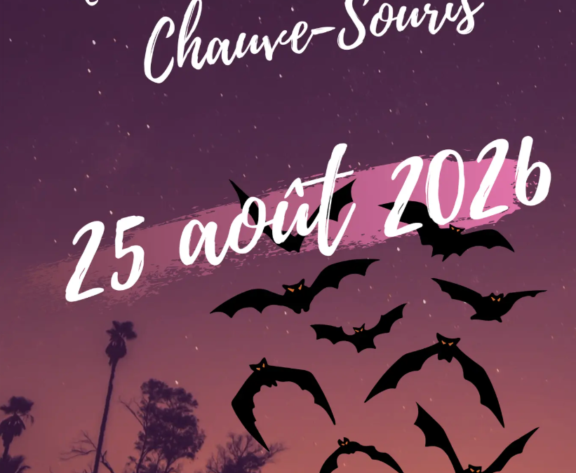 La Nuit internationale de la Chauve-souris