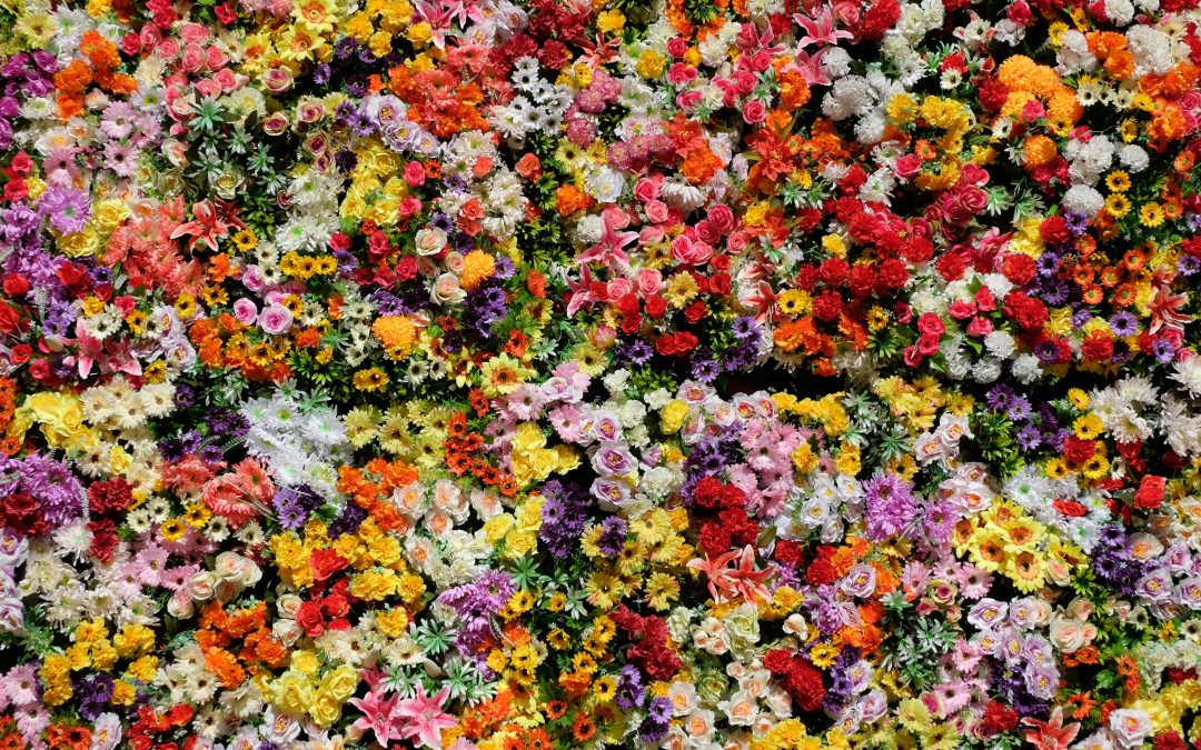 Corso Fleuri