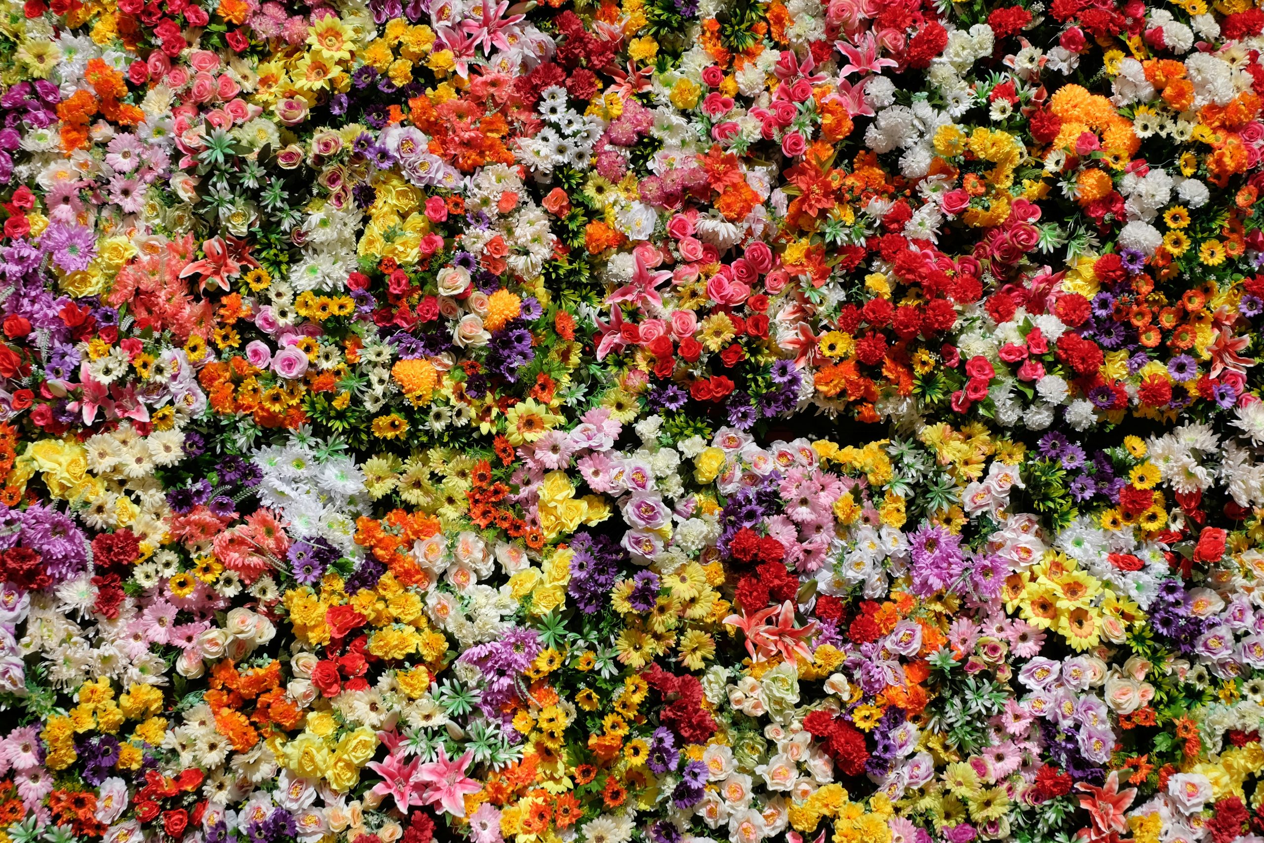 Fleurs