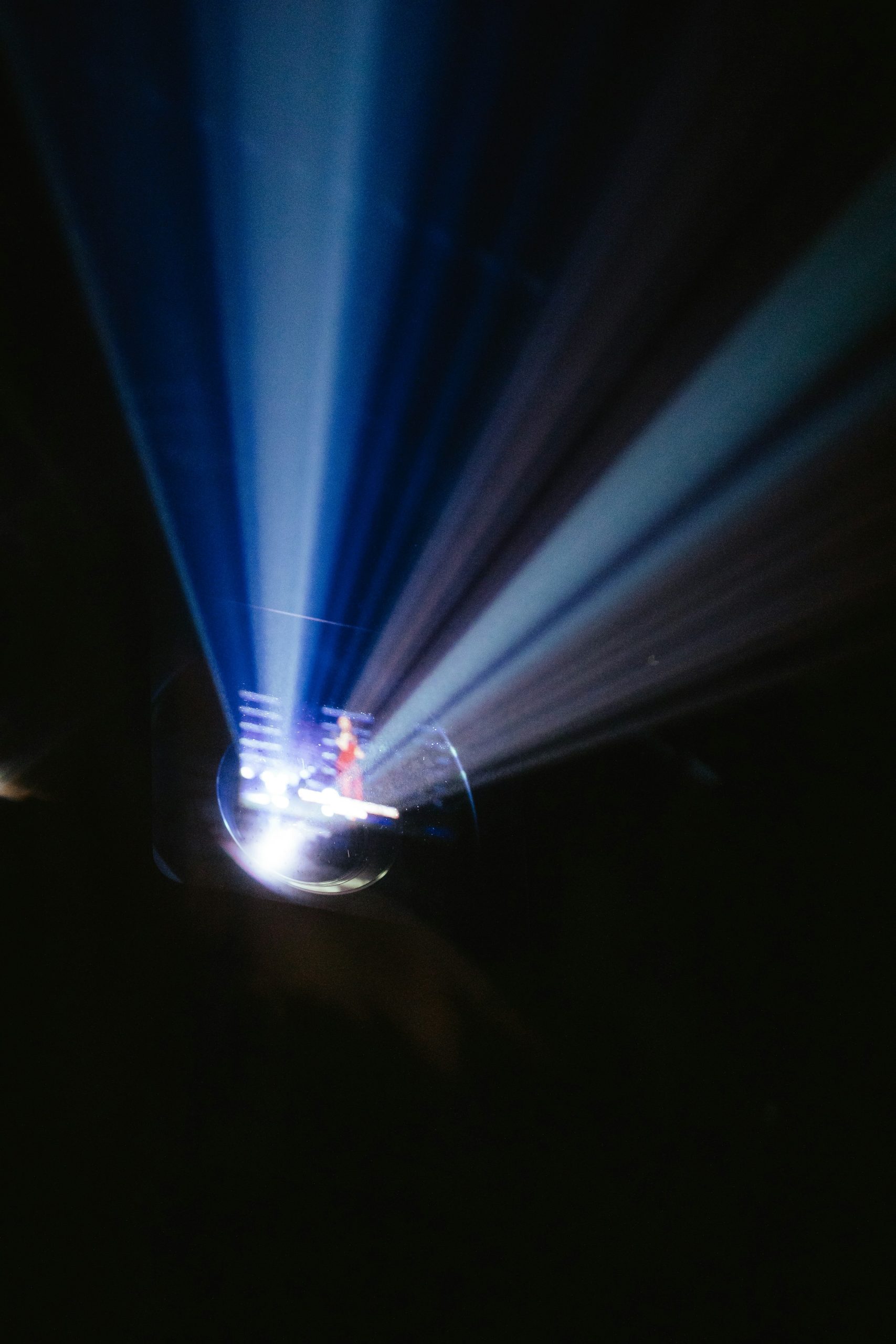 travis-fish-HLtojThgW0A-unsplash