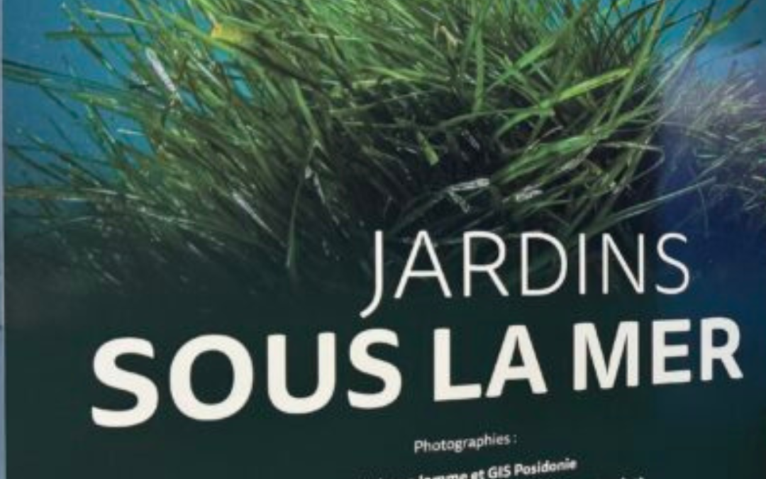Exposition « Jardins sous les mers »
