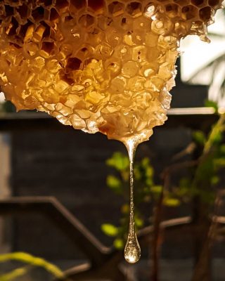Miam miam le bon miel 🍯🐝

À travers l’activité « Le théâtre aux abeilles » de la miellerie des Clauses, les enfants découvrent, accompagnés d’un apiculteur, tous les secrets des abeilles et dégustent du miel tout frais.

📍⠀Montséret
🧐⠀Tous les jours à 10h30, 14h30, 16h et 17h30. Hameau des Clauses à Montséret.⠀5,80€ à partir de 12 ans, gratuit – de 12 ans.
Rens. : 04 68 43 30 17. Miellerie-des-clauses.com
📷⠀© Pexels

#journaldesplages #media #hebdogratuit #littoral #suddelafrance #southoffrance #suddefrance #occitanie #mer #plage #hérault #gard #aude #pyrénéesorientales #vacances #loisir #été #summer #découverte #tourisme #balades #occitanietourisme #tourismeoccitanie #trip #miel #honey